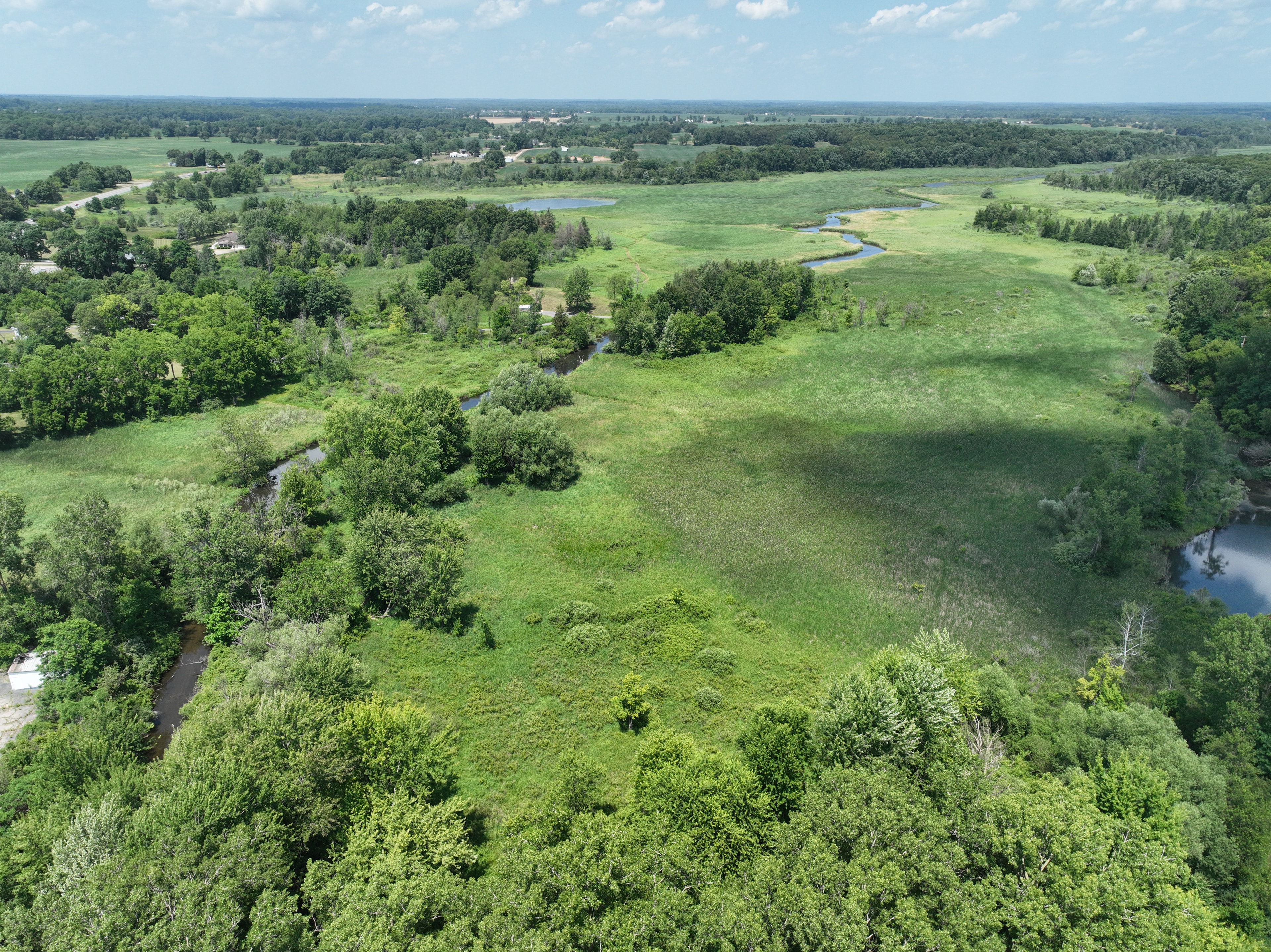 Aerial view of wetland and stream from drone